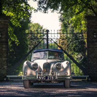 #31, Jaguar, XK 140, Anita Ekberg