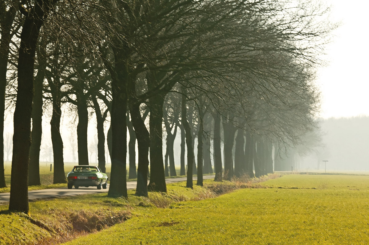 BMW Spicup fahrend durch eine Allee